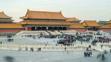 Kina. tid upphöra 4k. de förbjuden stad i Beijing, Kina. zoom i. video