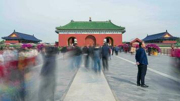 Chine. temps laps 4k de le gens errer dans le temple de paradis à fin de semaine, Pékin, Chine. video