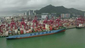 zangão aéreo Visão 4k cenas do Remessa para Porto de guindaste dentro victoria Porto, hong kon. hong kong video