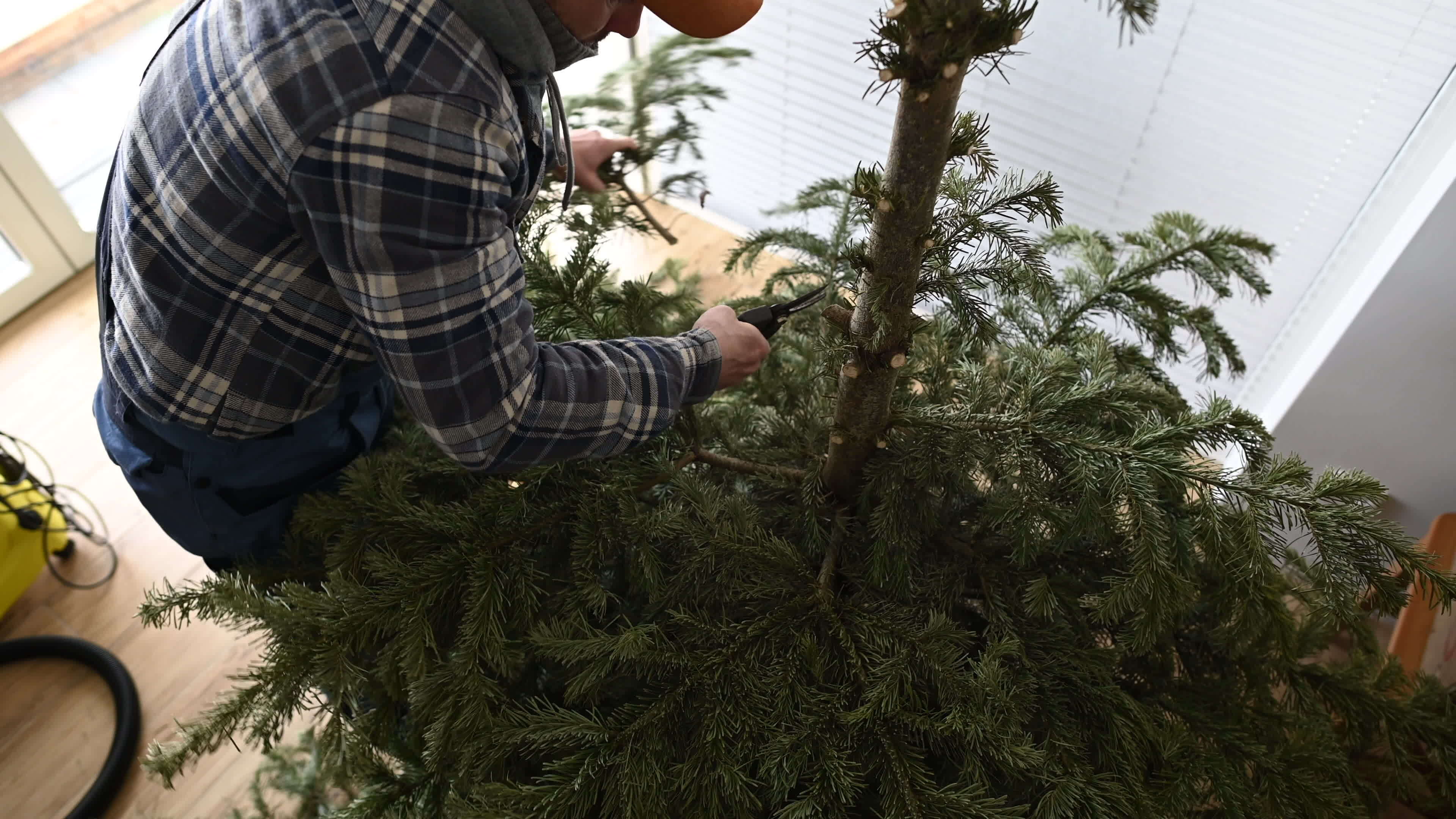 Caucasian Men Removing Christmas Tree From His House 24572153 Stock