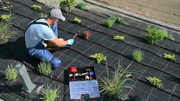 paysagiste installation un autre tuyau support dans une goutte irrigation pipeline video