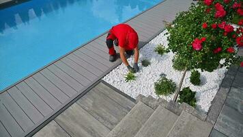 Professional Landscaper Installing Modern LED Lighting Inside Newly Designed Backyard Garden video