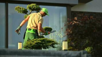 jardin ouvrier garniture décoratif arbre en utilisant sans fil façonner tondeuse video