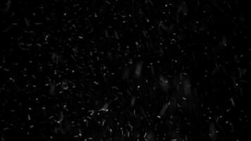 Winter Blizzard Weather. Snow and Wind Alpha Channel Black Background video