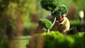 jardinier avec jardin cisailles sécateur video