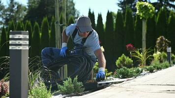 Landscaping Worker Preparing Trickle Irrigation Plastic Pipe video