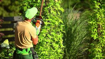 tuinman met elektrisch draadloos haag trimmer in actie video