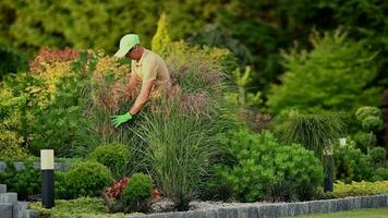 professionale giardiniere sorvegliare il suo clienti Giardino dietro la casa giardino video