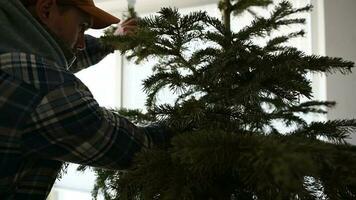 arbeider Verwijderen Kerstmis boom na vakantie seizoen video