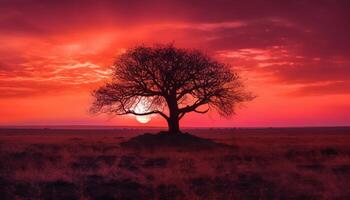 silueta de acacia árbol espalda iluminado por naranja puesta de sol cielo generado por ai foto