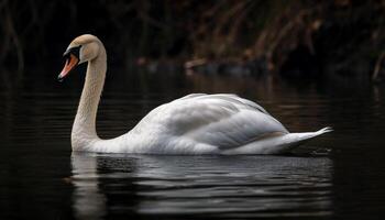 mudo cisne flotadores en tranquilo estanque, reflejando natural belleza generado por ai foto