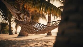 Tropical sunset, hammock sways, tranquil scene, beauty in nature generated by AI photo
