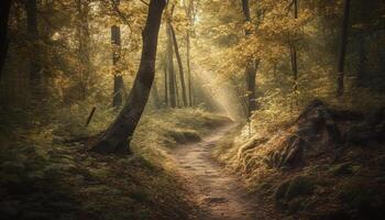 Tranquil forest footpath, autumn leaves, mystery in the air generated by AI photo