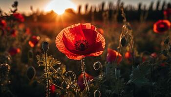 Vibrant wildflower meadow at dusk, beauty in nature close up generated by AI photo