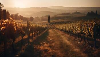 puesta de sol terminado viñedo en chianti región, belleza en naturaleza vinificación generado por ai foto