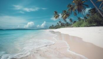 Tropical palm trees sway in turquoise waters photo