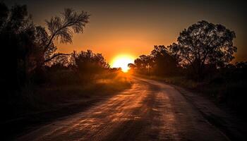 Silhouette of tree back lit by sunset photo