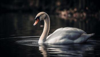 Mute swan elegance in tranquil pond water generated by AI photo