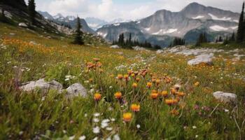 Wildflower blossoms in tranquil mountain meadow adventure generated by AI photo