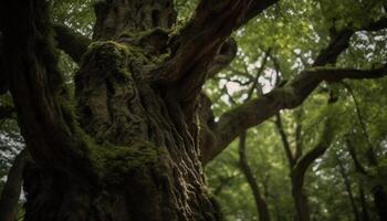 Green leaves on old tree trunk grow generated by AI photo