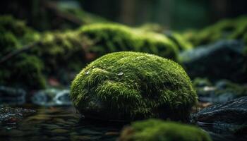 Fresco verde crecimiento en tranquilo bosque paisaje generado por ai foto