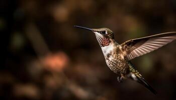 Iridescent hummingbird hovers mid air, spreading wings generated by AI photo
