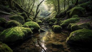 Tranquil scene of a wet forest ravine generated by AI photo