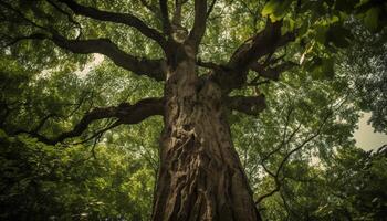 Green leaves on tree branch bask in sunlight generated by AI photo