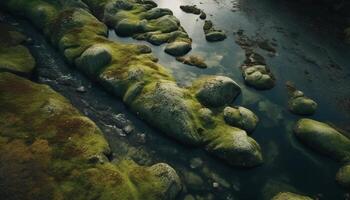 Tranquil scene of flowing water over rocks generated by AI photo