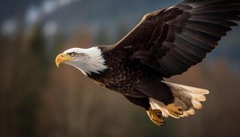 Majestic bald eagle spreads wings in mid air generated by AI photo
