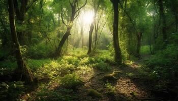 Tranquil forest path, mystery in the air generated by AI photo