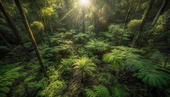 tranquilo escena de tropical selva a puesta de sol generado por ai foto