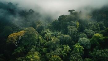 Mystery mountain range, foggy forest, deep ravine generated by AI photo