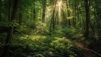 Sunlight filters through lush green forest canopy generated by AI photo