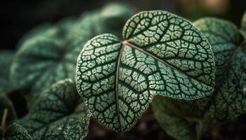 Leaf vein pattern in vibrant green macro generated by AI photo