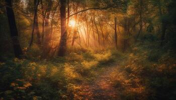 Autumn fog blankets tranquil forest in mystery generated by AI photo
