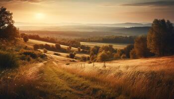 Golden horizon, tranquil meadow, nature beauty grows generated by AI photo