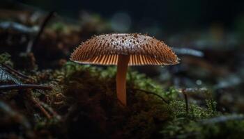 Fresh autumn toadstool growth spotted on uncultivated forest floor generated by AI photo