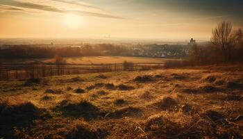 Tranquil meadow glows with backlit sun, autumn trees on horizon generated by AI photo