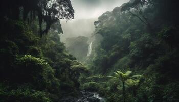 Tropical rainforest, green foliage, mountain peak, flowing water, wilderness adventure generated by AI photo