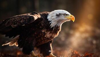 majestuoso pájaro de presa, calvo águila, encaramado en natural belleza generado por ai foto