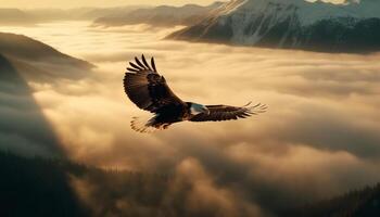 Bald eagle soaring mid air above mountain range at sunset generated by AI photo