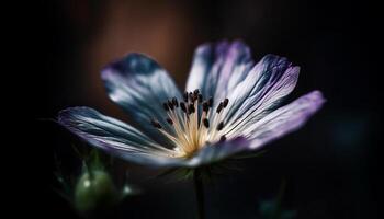 Soft focus on single purple wildflower in meadow, beauty in nature generated by AI photo