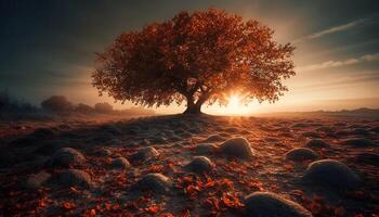 silueta de árbol en contra multi de colores cielo a puesta de sol en bosque generado por ai foto