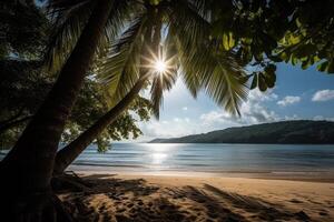 tropical playa con Coco palma arboles a atardecer, seychelles, un hermosa tropical playa ver con un claro azul océano, ai generado foto