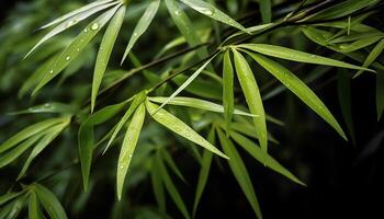 Vibrant green bamboo shoot, dew drop, tranquil tropical forest scene generated by AI photo