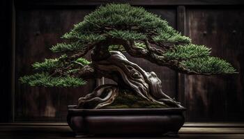 Ancient Japanese statue in front of potted pine tree generated by AI photo
