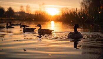 patos y gansos nadar juntos en tranquilo estanque a puesta de sol generado por ai foto