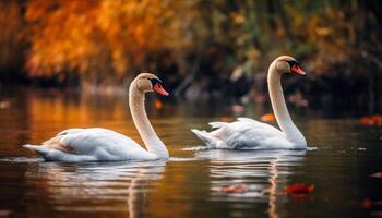 majestuoso cisnes gracia tranquilo estanque, reflejando natural belleza y unión generado por ai foto