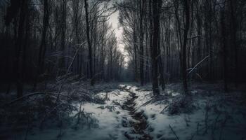 tranquilo escena de escalofriante bosque, misterio en el niebla generado por ai foto